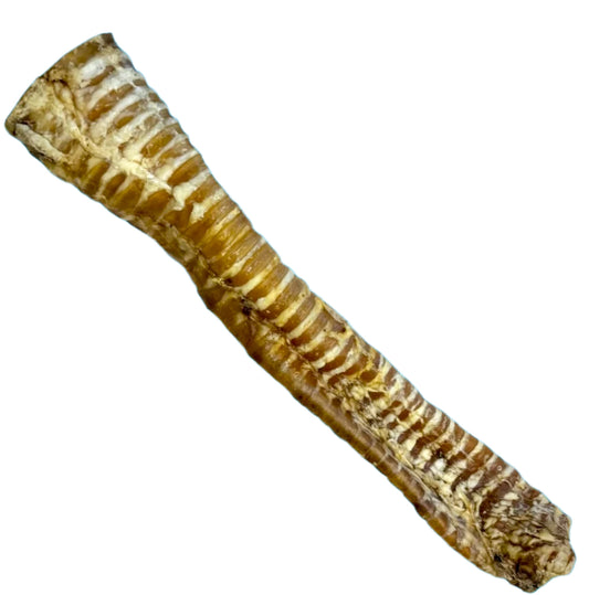 Buffalo Trachea 24cm (approx) - Natural Dog Treat for Dogs