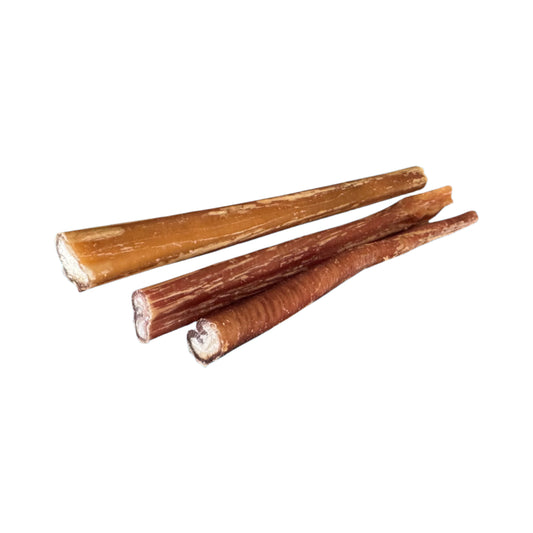 24cm Bull Pizzles - natural dog treat / chew dental chews